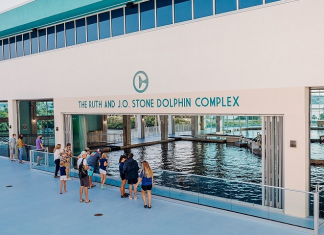 Clearwater Marine Aquarium | I-75 Exit Guide