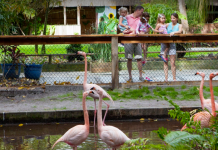Wonder Gardens - Bonita Springs, Florida | I-75 Exit Guide